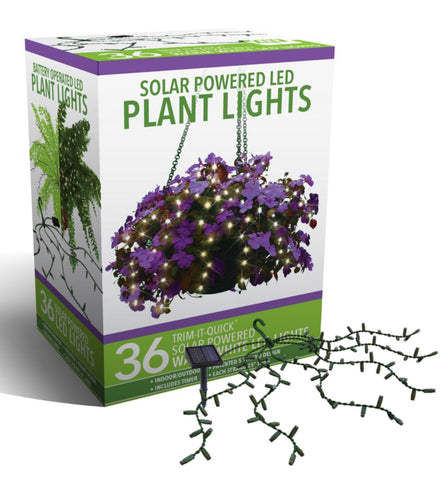 SOLAR LED Plant Lights, 36 Warm White, 22", #ST004W-36